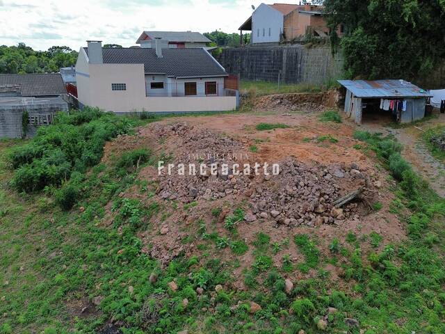 #0036 - Terreno para Venda em Flores da Cunha - RS - 3