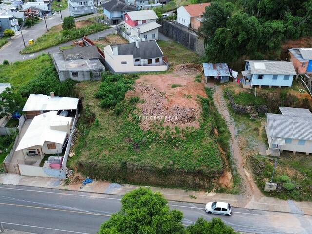 Terreno para Venda em Flores da Cunha - 4