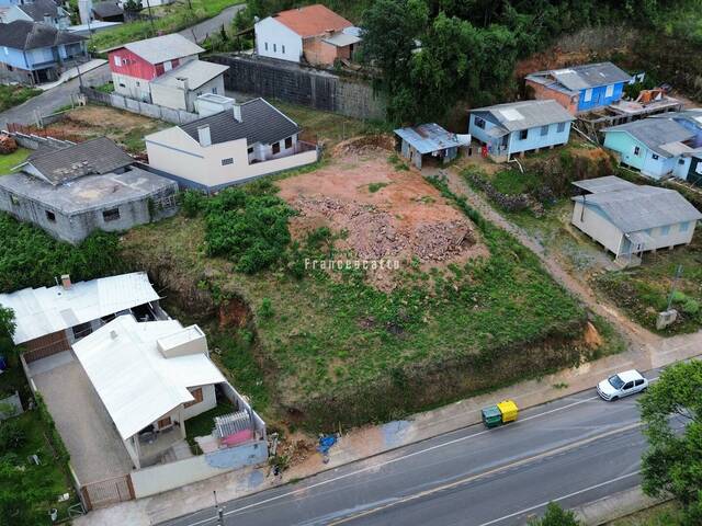 #0036 - Terreno para Venda em Flores da Cunha - RS - 1