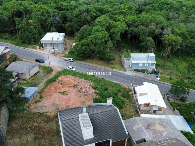 Terreno para Venda em Flores da Cunha - 5