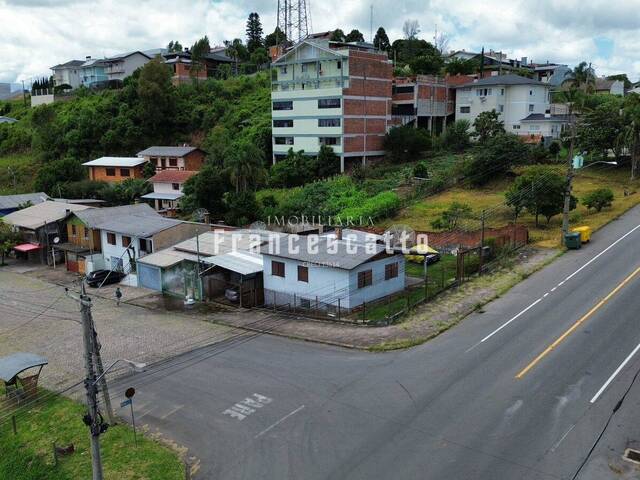 Área para Venda em Flores da Cunha - 2