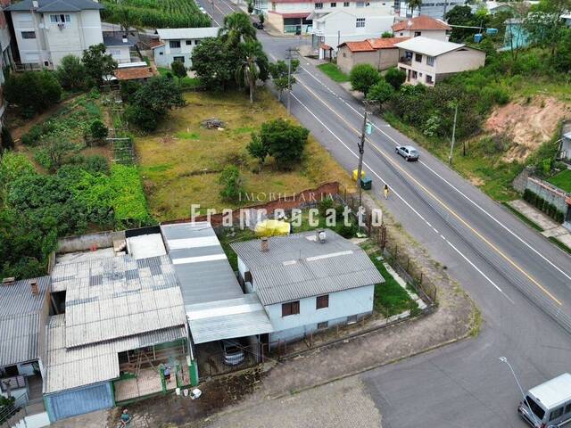 Área para Venda em Flores da Cunha - 4